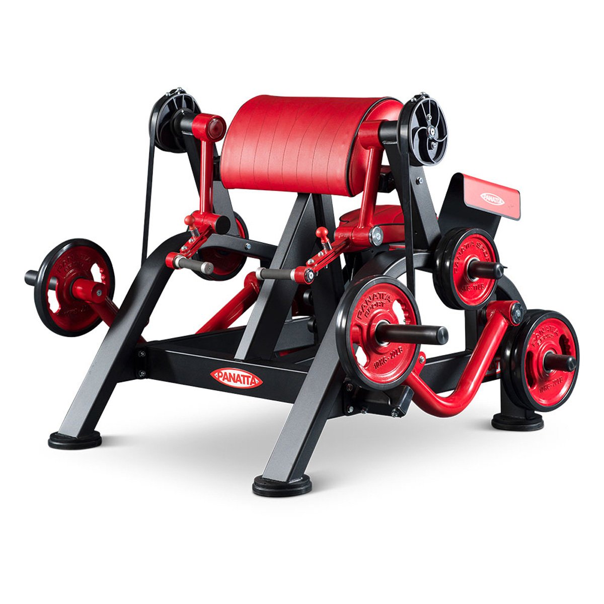Alternate Curling Machine – Bicepsz gép - Panatta FreeWeight Special